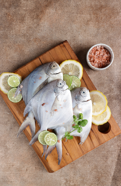 White pomfret